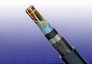 image of Foam Skin Insulated LAP Sheathed Jelly Filled Cables to IEC60708